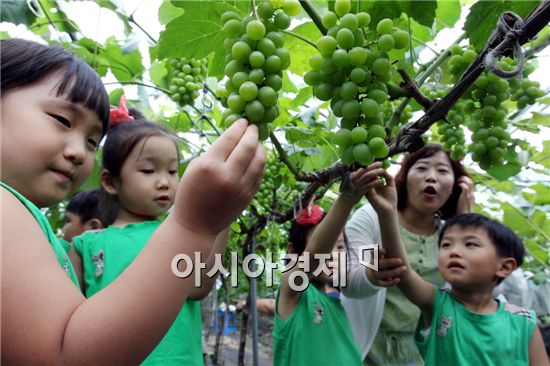 [포토]청포도 보며 즐거워하는 어린이들