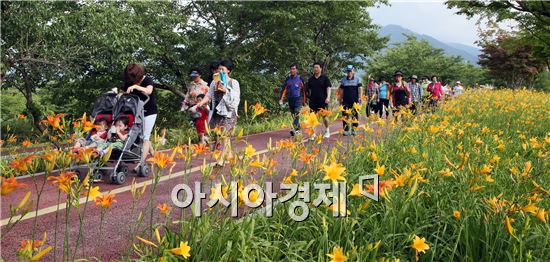 구례군은 지난 4일 2014 원추리꽃길 군민 건강걷기 행사를 개최했다. 이날 많은 군민들이 원추리꽃이 만발한 서시천변을 걷고 있다.