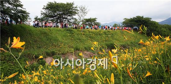 구례군은 지난 4일 2014 원추리꽃길 군민 건강걷기 행사를 개최했다. 이날 많은 군민들이 원추리꽃이 만발한 서시천변을 걷고 있다. 