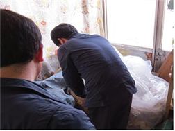 국산으로 둔갑시킨 중국산 영지버섯 판매업자 ‘덜미’