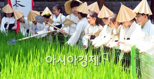 [포토]'갈모 쓰고…'