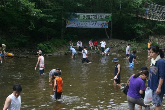 국립통고산자연휴양림 계곡물에서 열리고 있는 '민물고기 맨손잡기 체험' 행사 모습