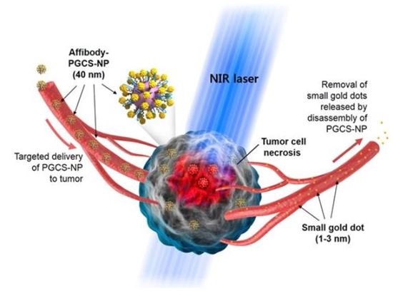 펩타이드·금 결합 나노…암세포만 죽인다