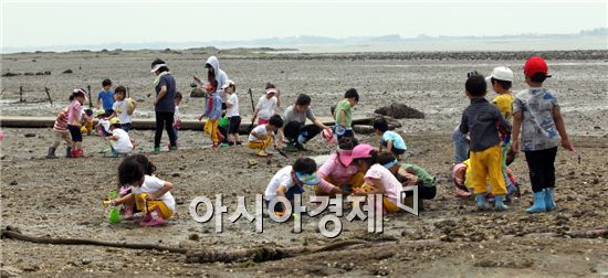 ‘환상적인 낙조와 깨끗한 갯벌’ 함평 돌머리해변 12일 개장