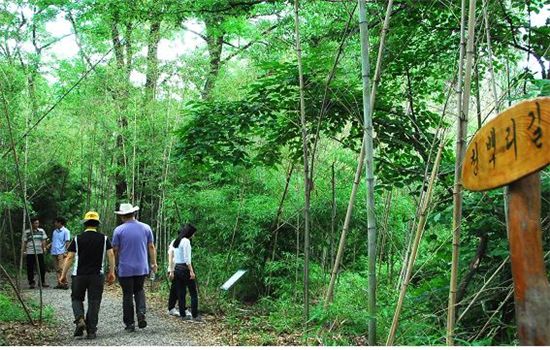 대나무 숲 속에 만들어진 국립대전현충원 '청백리 길'