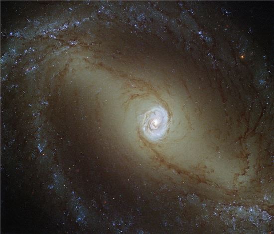 ▲밝게 빛나는 중심부를 가진 은하 NGC 1433.[사진제공=NASA]