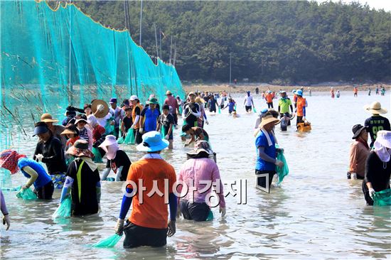 개매기 체험에 나선 관광객들이 고기잡이 바다체험 행사를 실시하고있다.