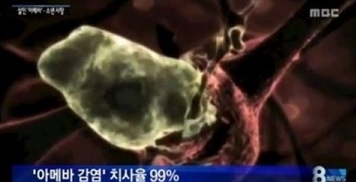 뇌먹는 아메바(사진:MBC 보도화면 캡처)