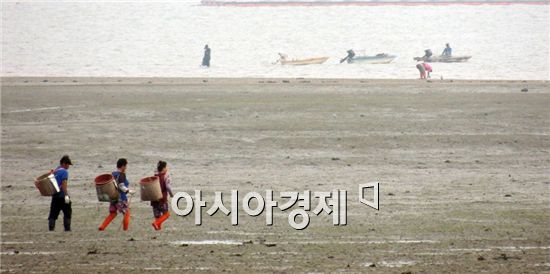 [포토]함평 안악해변으로 바지락 캐로가는 어민 행렬