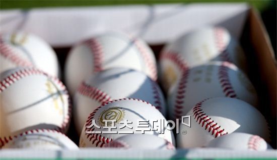 태극마크 고교 유망주가 전과 34범으로…야구 에이스의 몰락