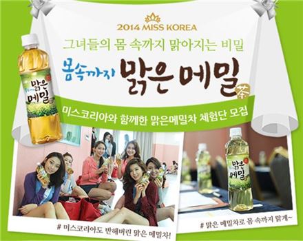 웅진식품, '맑은메밀차' 체험단 모집