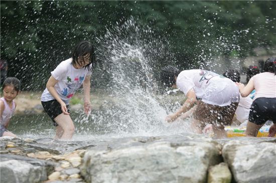 관악산계곡 어린이물놀이장 개장