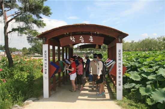 '부여 서동연꽃축제장'을 찾은 관광객들이 궁남지에 살고 있는 동물, 식물 현황판을 읽어보고 있다.