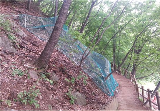 수원시 '광교산·칠보산' 등산로 정비 마쳐