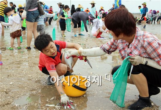 [포토]함평 돌머리해변 개막이체험 인기