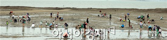 전남 함평군 함평읍 돌머리해변을 찾은 기아자동차 직원 가족 500여 명이 20일 개막이 체험을 하며 즐거운 시간을 보내고 있다. 사진제공=함평군
