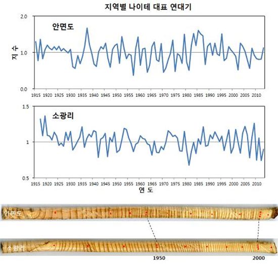 나무나이테 이용 기후변화 정보분석기술 첫 개발
