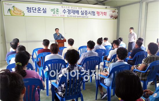 광양시가 새로운 작목도입 및 신기술 정립을 위해 22일 시험포장 첨단온실에서 농업인 35명을 대상으로 멜론 수경재배 실증시험 평가회를 성공리에 개최했다.
