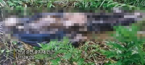 유병언 사망 의혹…전문가 "손가락 절단에 타살 흔적도 발견"