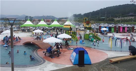 무안연꽃축제, 백련꽃 같은 학처럼 ‘백년사랑’