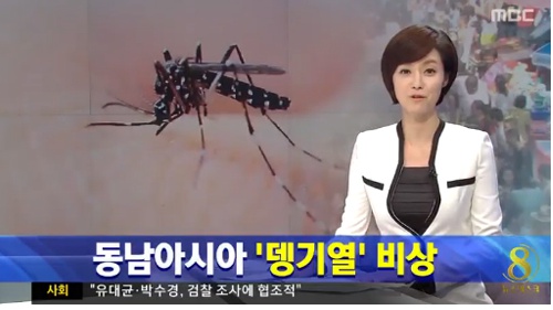질병관리본부 "모기 매개 감영병 주의" (사진: MBC 뉴스 캡처)