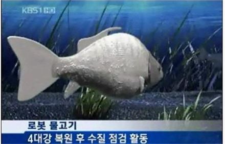 4대강 사업위해 개발된 로봇물고기(사진:KBS 방송 화면 캡처)