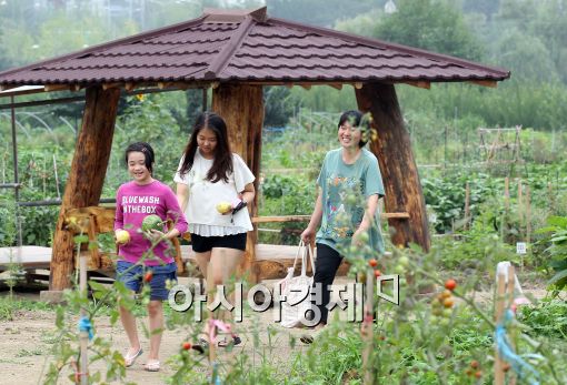 [포토]'주말농장은 즐거워~'