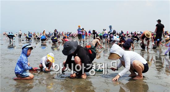 고창갯벌축제, 15일부터 17일까지  심원으로 오세요