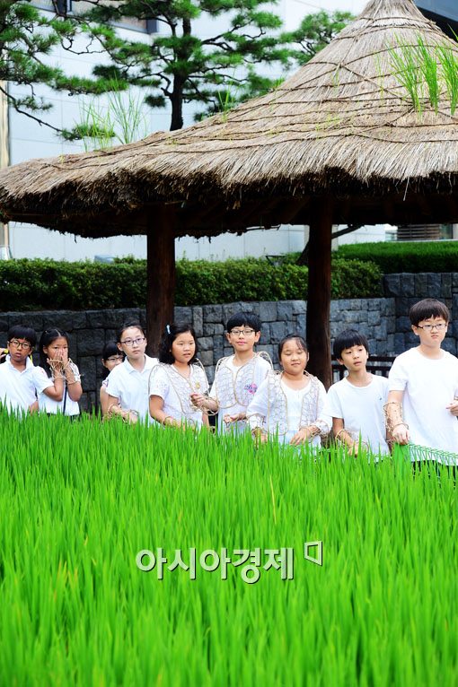 [포토]조상들의 여름나기 