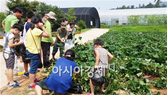 광주시시농업기술센터, 초등학생 여름방학 텃밭체험 행사개최