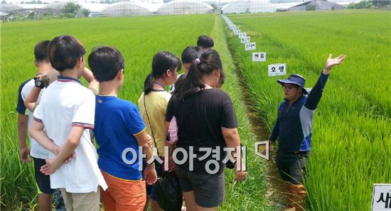 광주시시농업기술센터, 초등학생 여름방학 텃밭체험 행사개최