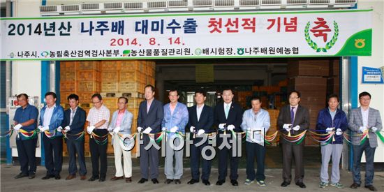 나주배 올해 첫 대미수출 본격화