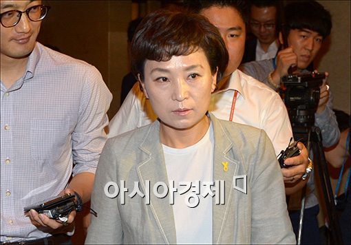 국회 첫 여성 예결위원장 김현미는 누구? 더민주 3선으로 文 초대 비서실장