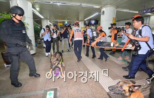 [포토]부상자 이송 후 폭발물 탐지견 투입 