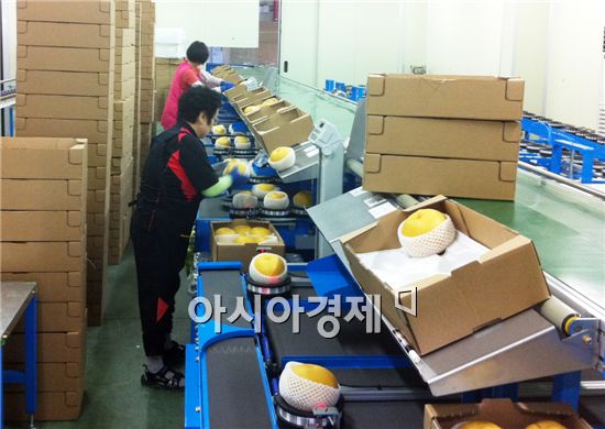 남원 춘향골 배, 올해 첫 수출길에 올라