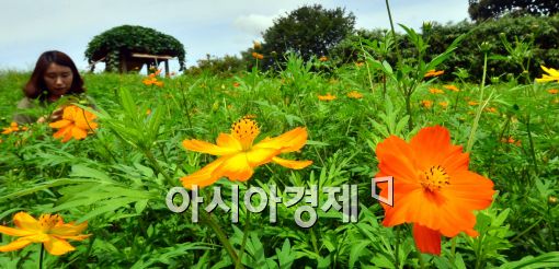 [포토]완연한 가을