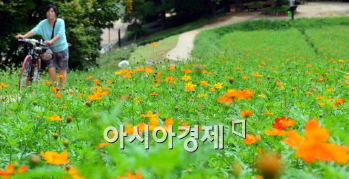 [포토]'가을 날씨 물씬 풍기네~'