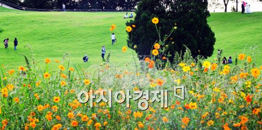 [포토]'코스모스와 사람들'