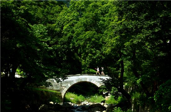 창밖, 금강산 화암사 수바위가 소리쳤다 “넌 뭣고?”