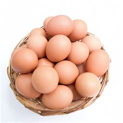'완전식품'으로 불리는 계란