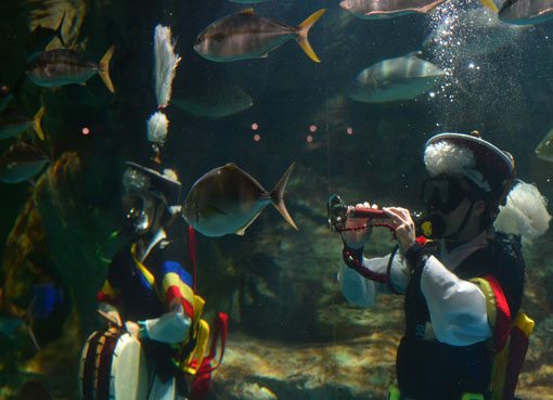 [포토]아쿠아리움 속 풍악을 울려라 