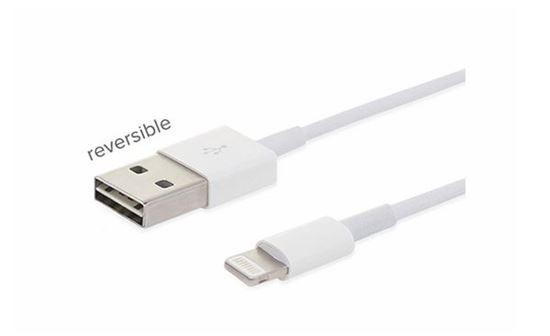 애플 아이폰용 라이트닝 커넥터(USB 케이블)