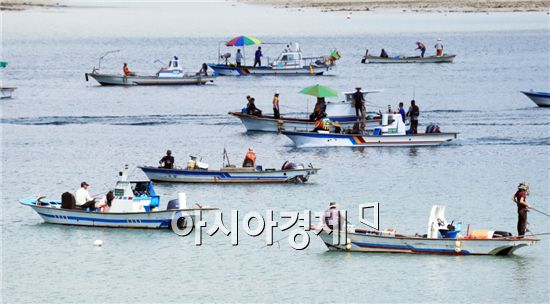 무더위가 물러난 완도에 때아닌 쭈꾸미 낚시를 즐기려는 강태공들이 몰려들어 완도대교 주변 갯바위와 해상은 매일 장관이 펼쳐진다.
