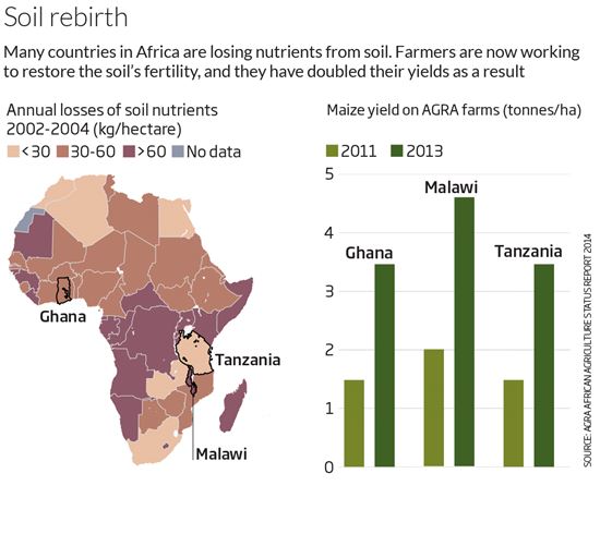 ▲아프리카 토양이 비옥해지고 있다.[자료제공=뉴사이언티스트]