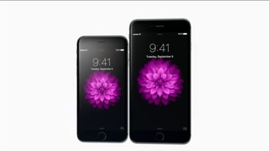 애플 아이폰6·아이폰6+ 올해 8000만대 출하 