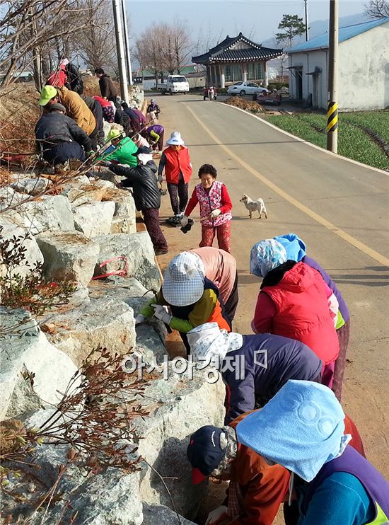 함평 성북마을주민들이 살기좋은 마을을 만들고있다.