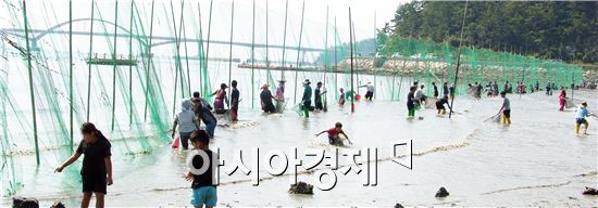 장흥 신리어촌체험마을, 출향인과 함께하는 개막이체험행사 성황