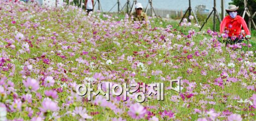 [포토]'가을 날씨'