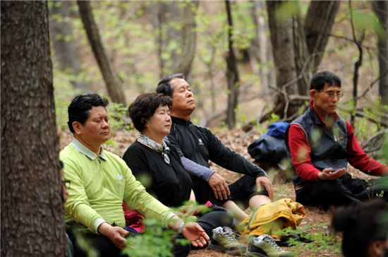 숲에서 눈을 감고 명상 중인 산림치유 프로그램 참가자들. 산림치유는 치료가 아닌 치유의 개념으로 일상에서 지친 심신을 달래고 안정감을 되찾게 하는데 방점을 둔다. 산림청 제공