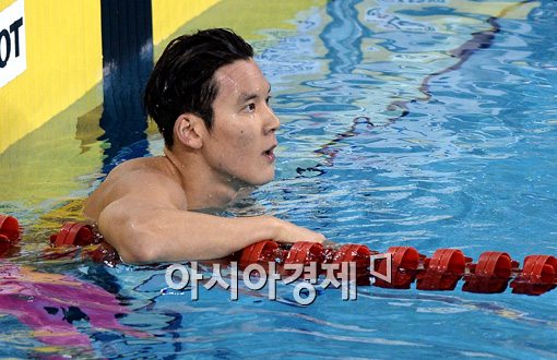 박태환, 대한수영연맹 선수상 수상 불발